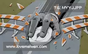 蘑菇加速器下载安装——深度探析数据,发掘潜能与风险,助您把握机遇!